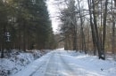 forêt de Montpensier entre D984 et D435